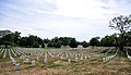 Nationalfriedhof Arlington, Virginia