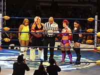 AAA Reina de Reinas Championship Match bei Rey de Reyes (2013). Von links nach rechts: Faby Apache, Taya Valkyrie, LuFisto und Mari Apache.