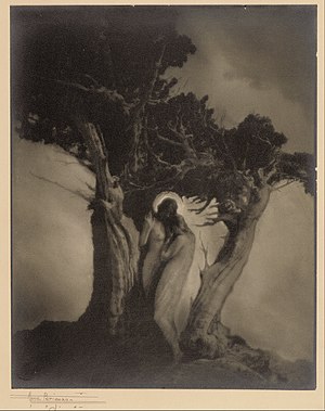 The Heart of the Storm (Anne Brigman)
