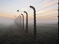 Auschwitz Fence, Poland by Jacek Daczyński