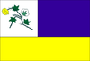 Flag of São José do Sabugi