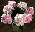 Bouquet of peonies 03. 
 JPG