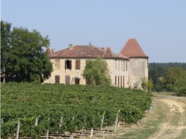 Kasteel van Mauhic