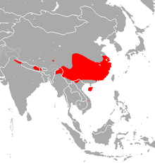 Chinese Rufous Horseshoe Bat area.png