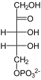 D-Ribulose-5-phosphat.svg