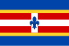 Flag of Jankovice