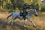 Equestrian courses at the school.