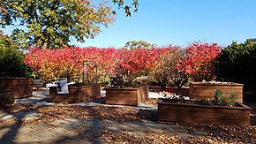 The Ohio State University: giardino dedicato all'ortoterapia