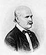 Ignaz Philipp Semmelweis, Kupferstich von Jenő Doby, 1860