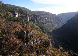 Les gorges de la Jonte vues depuis le roc Saint Gervais.