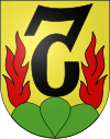 Wappen von Kiesen