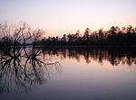 Miniatura para Lago Murray (Carolina del Sur)