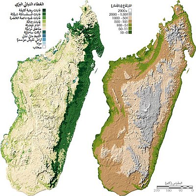 Two maps of Madagascar, showing land cover on the left and topography on the right