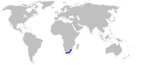 Description de l'image Map-Agapanthaceae.PNG.