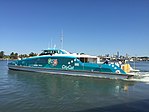 CityCat ferries