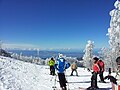 2016年3月22日 (火) 14:35時点における版のサムネイル