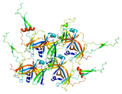 Белок GTF2F1 PDB 1f3u.png