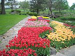 Reinisch Rose Garden, Gage Park, Topeka, Kansas01.jpg