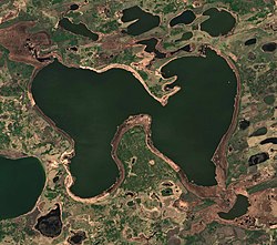 Spojená jezera Saltaim (vlevo) a Tenis (vpravo) ze satelitu Sentinel-2 (2021)