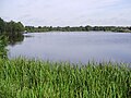 Lago en Frisia