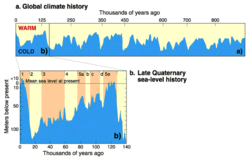 Zmiany poziomu mórz do 900 tys. lat wstecz