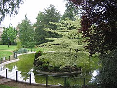 Estanque en el jardín botánico.