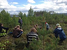 A Syntheist congregation conducting a workshop in Lindsberg, Sweden in June 2014. Syntheist workshop.jpg