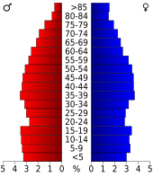 Bevolkingspiramide Boone County