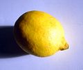 C. limon