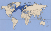 Distribution do salmón atlántico