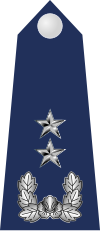 17.SKAF-MG.svg