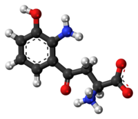 Ball-and-stick model of the 3-hydroxykynurenine molecule as a zwitterion