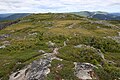 La toundra alpine recouvre son sommet.