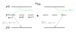 Ca40激發態的兩種衰變路徑。由於無法區分到底會選擇哪條路徑進行衰變，發射的兩個光子被糾纏在一起。