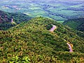 Miniatura para Área de protección ambiental de Serra da Ibiapaba