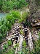 Gabions et piles de bois du barrage.