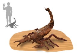 Brontoscorpio