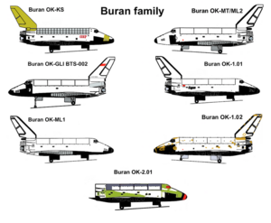 Buran family.png