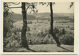 Вид с горы Хобустемяги, возвышенность Отепя (1930-е годы)
