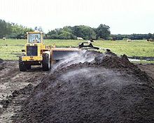 Cattle manure Cattlemanure.jpg