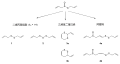 2009年9月5日 (六) 05:01版本的缩略图