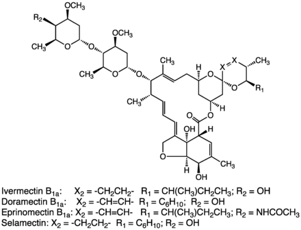 Avermectins are structurally related to emamectin