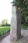 Le menhir nommé localement Pierre de Gargantua.