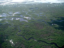 Photographie aérienne des Everglades.
