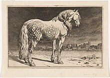 Gravure d'un gros cheval pommelé.