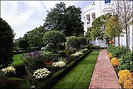 Осень в саду Жаклин Кеннеди. Вымощенная кирпичом дорожка вдоль восточной колоннады окаймлена хризантемой бронзового цвета «Старлетка».