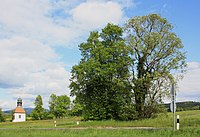 2 Linden am Heiligenhäuschen