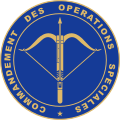 Commandement des opérations spéciales (COS)