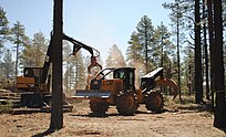 Loader and Skidder