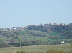Skyline of Maiolati Spontini